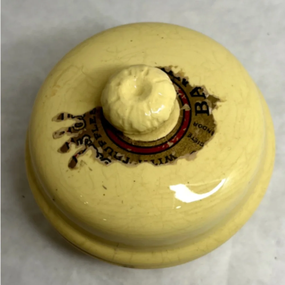 VTG French FoieGras Provence Yellow Sarreguemines Pottery/Terrine Dish LionHead